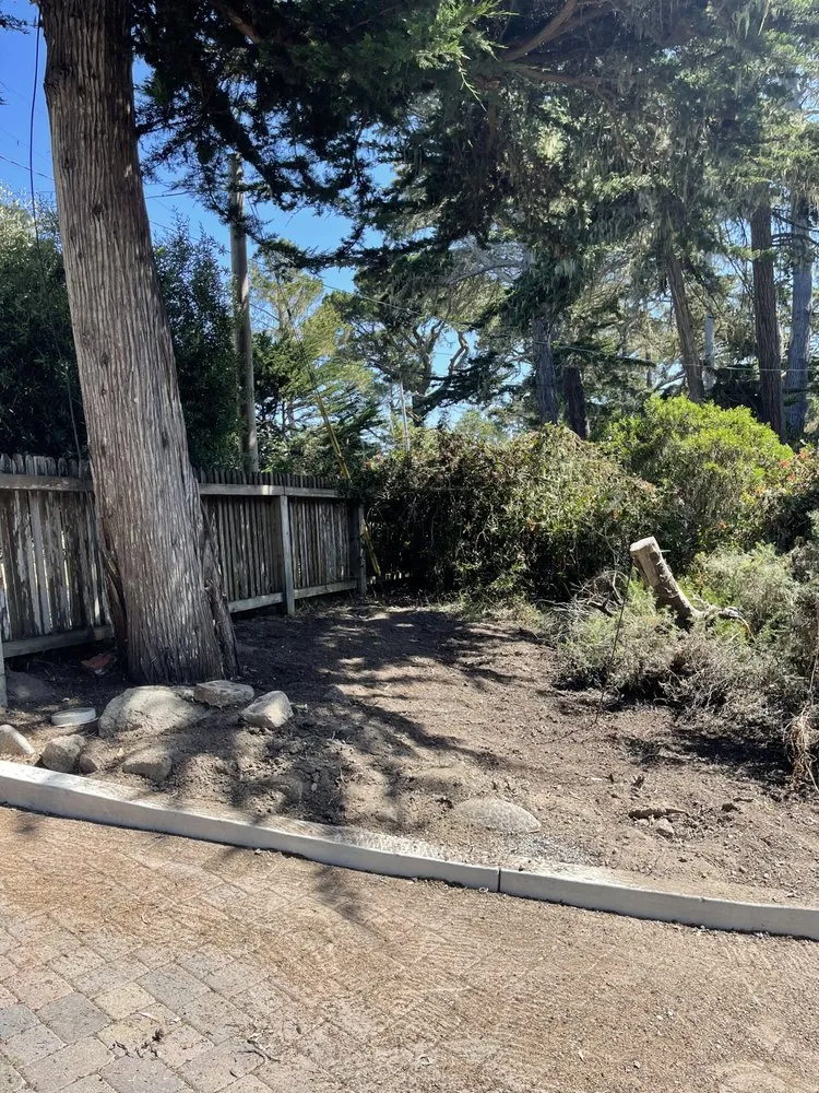 Reliable yard maintenance in Seaside, CA - Smurn Landscape