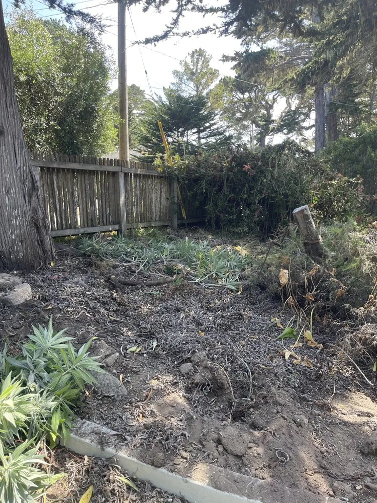 Professional landscape design for year-round maintenance in Seaside, CA by Smurn Landscape