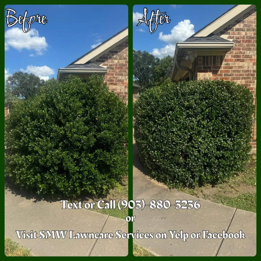 Top-rated lawn mowing service for year-round maintenance across Canton, TX - SMW Lawncare Services