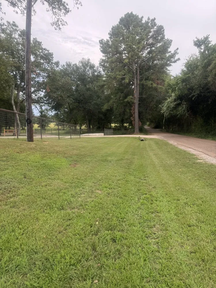 Professional lawn mowing service in Canton, TX - SMW Lawncare Services