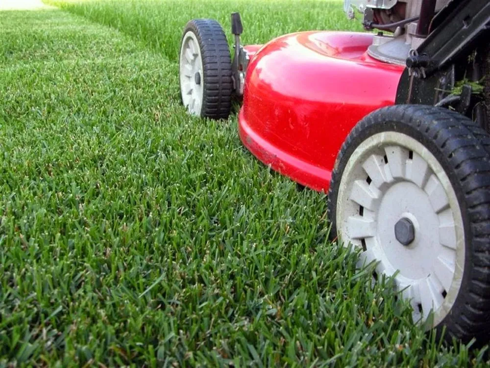 Affordable lawn mowing service in Flint, MI by Smyers R&C Lawn Care