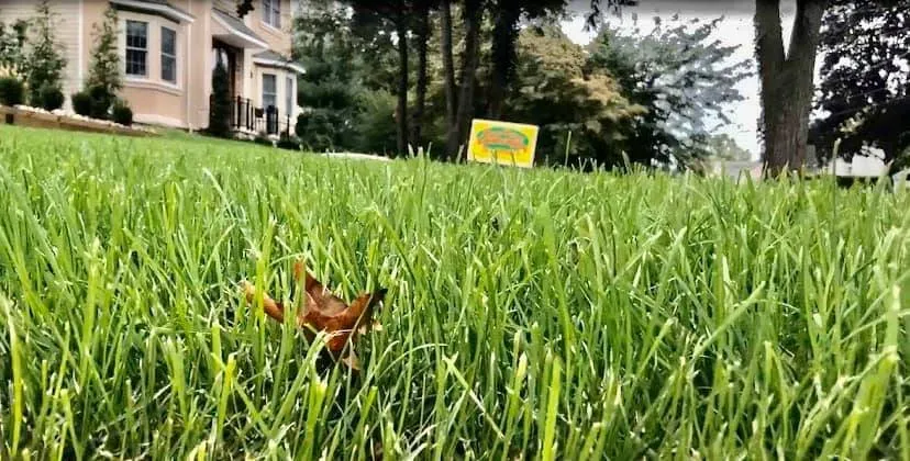 Local outdoor landscaping in Amherst, NY by SN Landscaping & Lawn Care