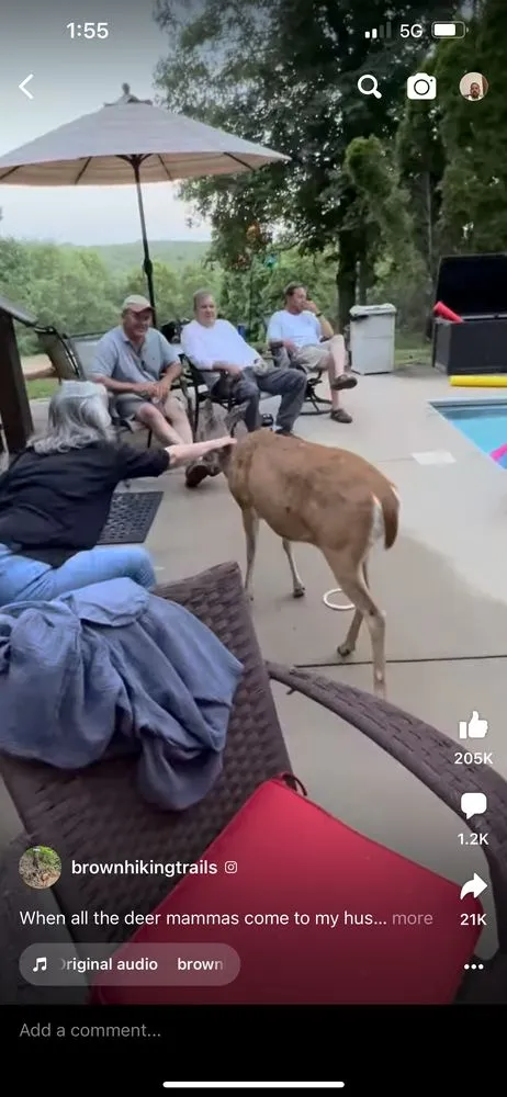 Professional yard maintenance in Buffalo, NY - SN Landscaping and lawn care