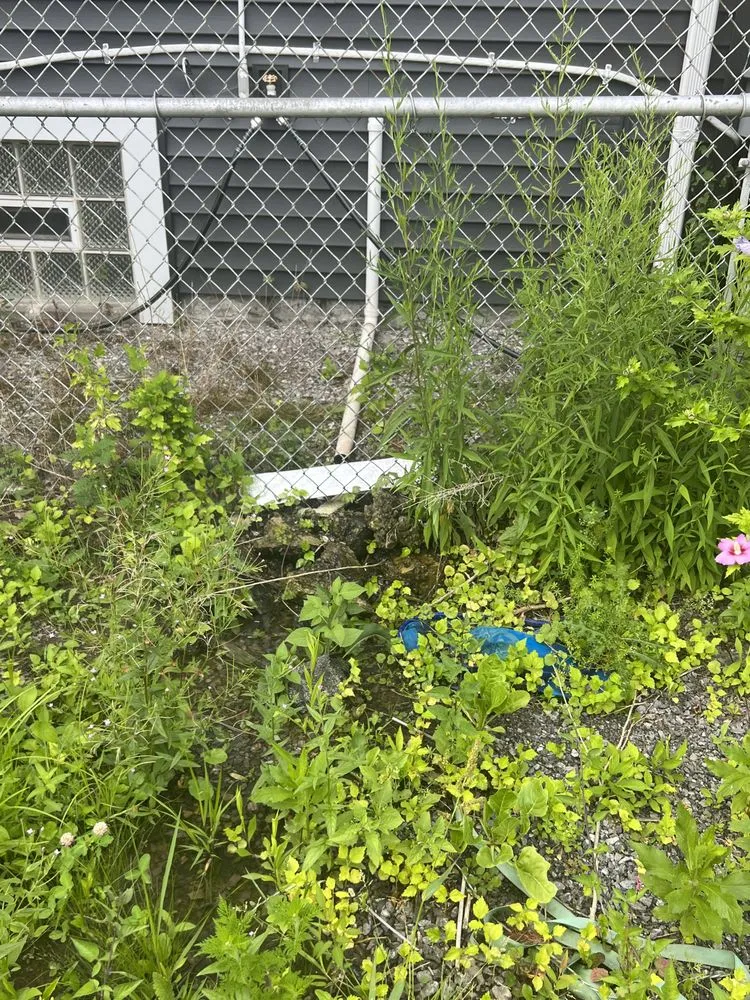 Reliable landscape installation in Buffalo, NY by SN Landscaping and lawn care