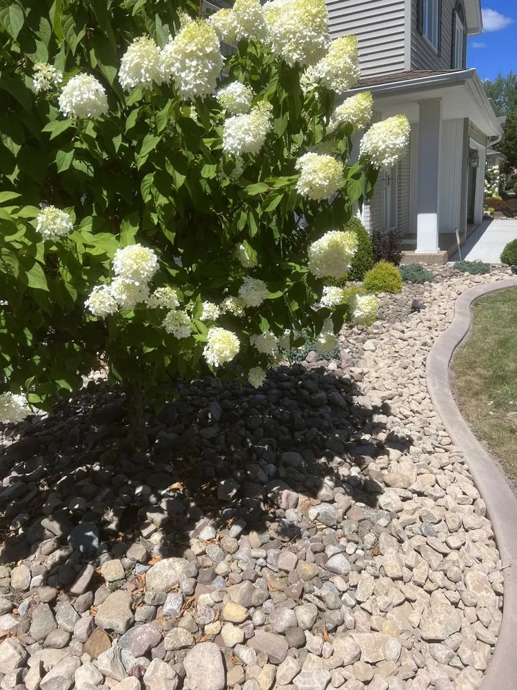 Local lawn mowing service for residential properties in Buffalo, NY by SN Landscaping and lawn care