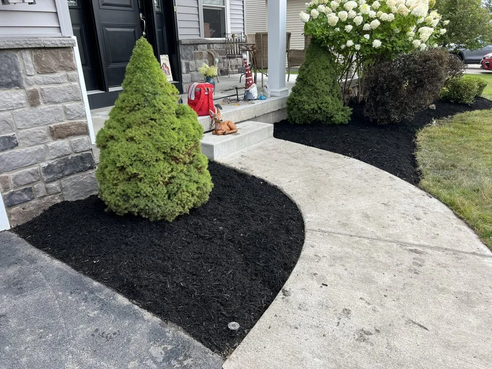 Top-rated lawn care service experts serving Buffalo, NY - SN Landscaping and lawn care