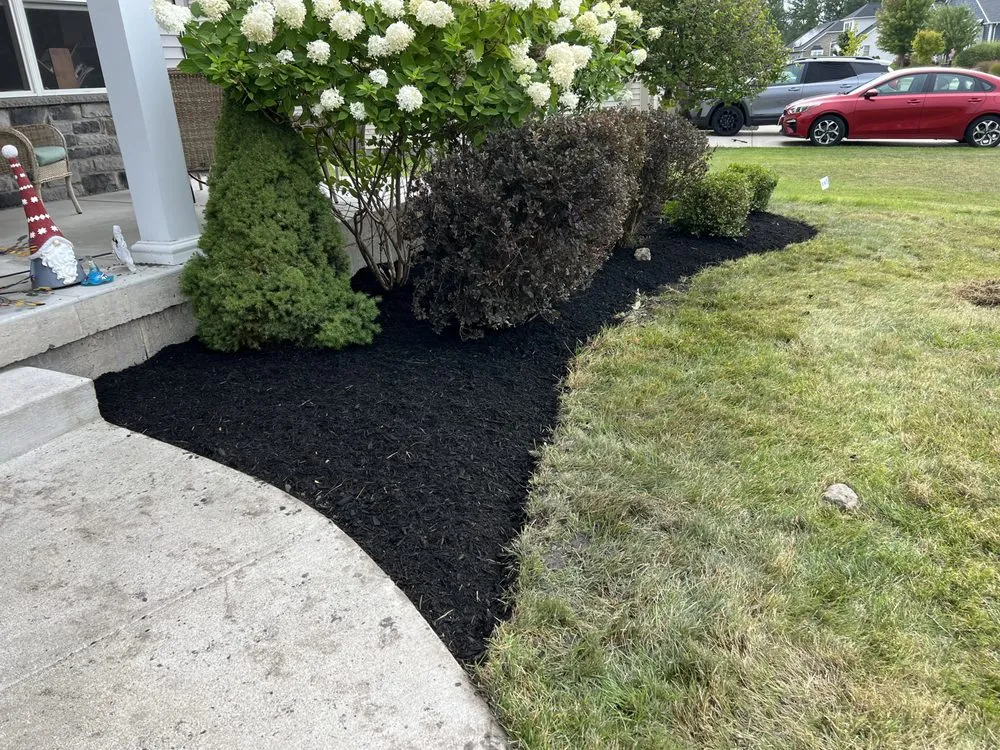 Professional landscaping services in Buffalo, NY by SN Landscaping and lawn care