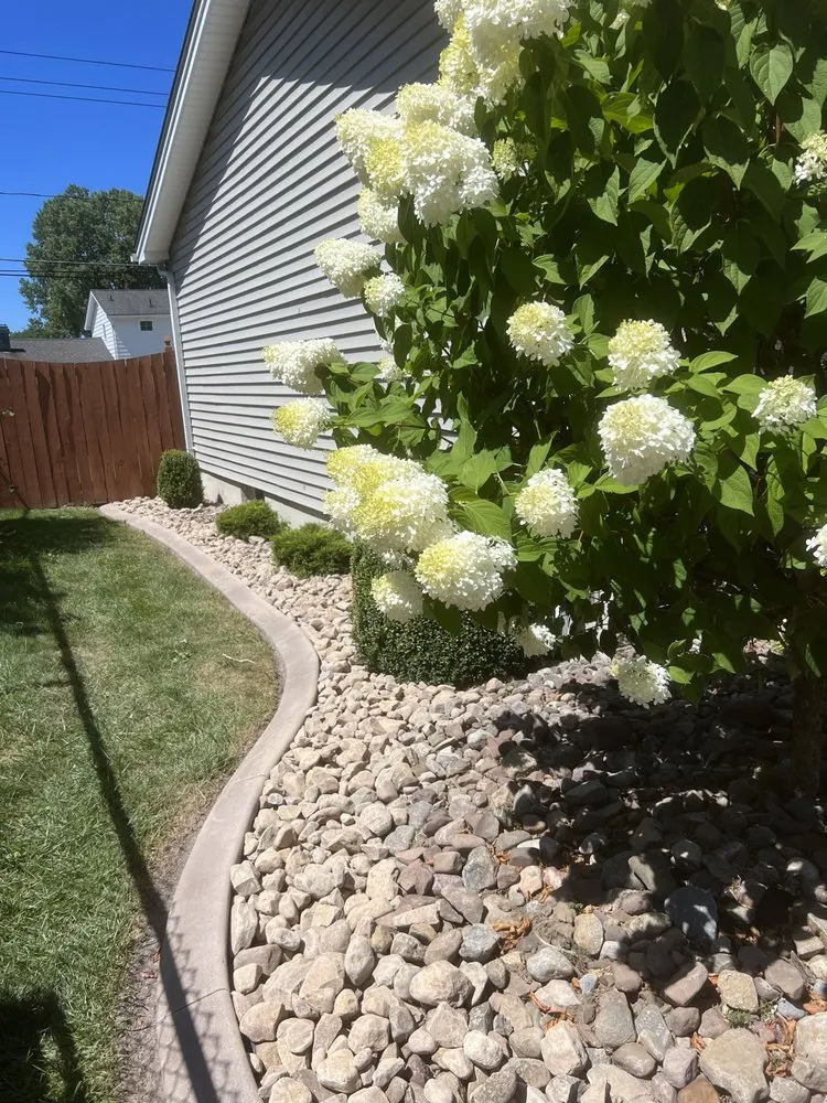 Reliable yard cleanup service in Buffalo, NY by SN Landscaping and lawn care