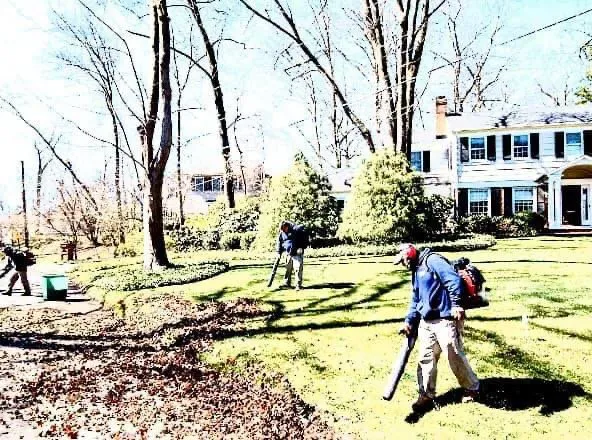 Local landscaping services in Buffalo, NY - SN Landscaping and lawn care