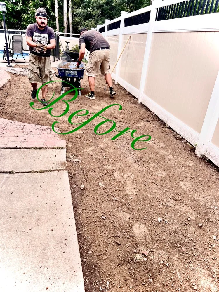 Trusted lawn mowing service in Buffalo, NY - SN Landscaping and lawn care