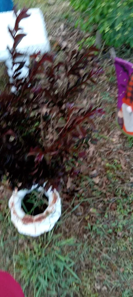 Trusted residential landscaping in Johns Creek, GA - S&N Landscaping