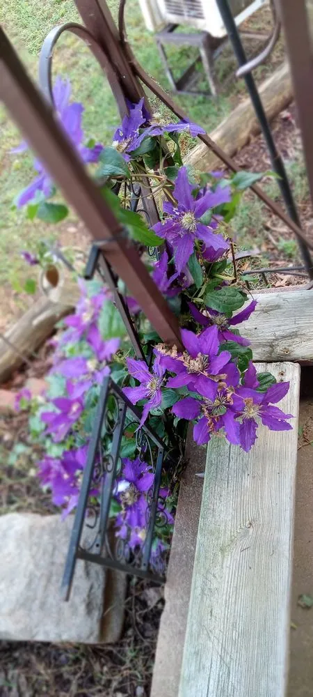 Affordable landscape installation experts serving Johns Creek, GA - S&N Landscaping