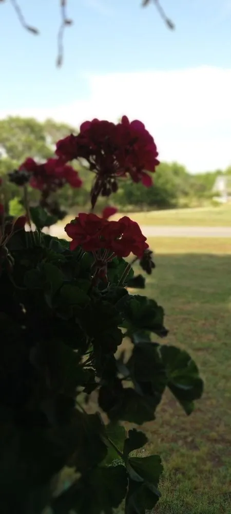 Custom outdoor landscaping in Johns Creek, GA by S&N Landscaping