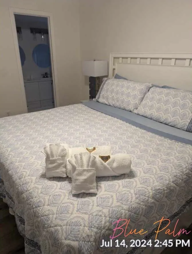 Professional yard maintenance in St. Petersburg, FL - S&N Property Management Services