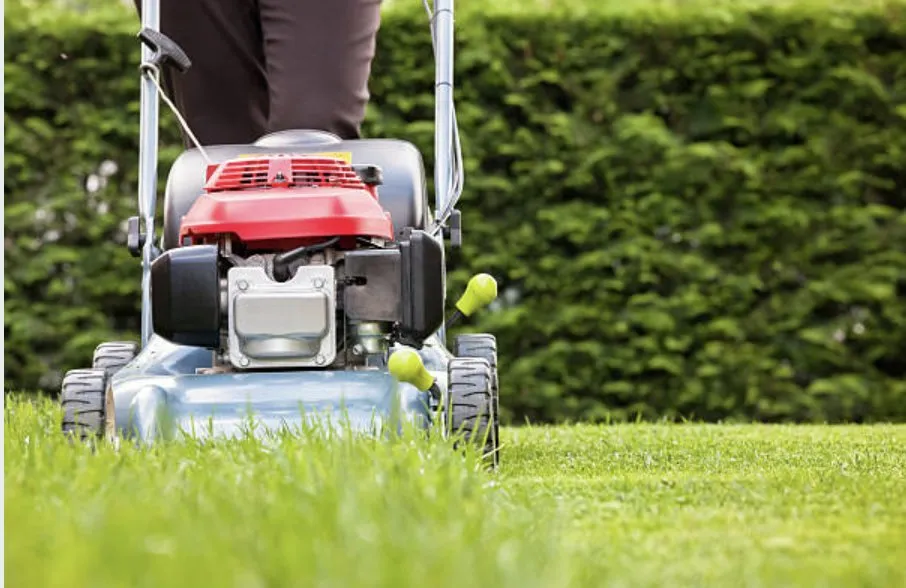 Local landscaping services in Roanoke, VA by SN Rising