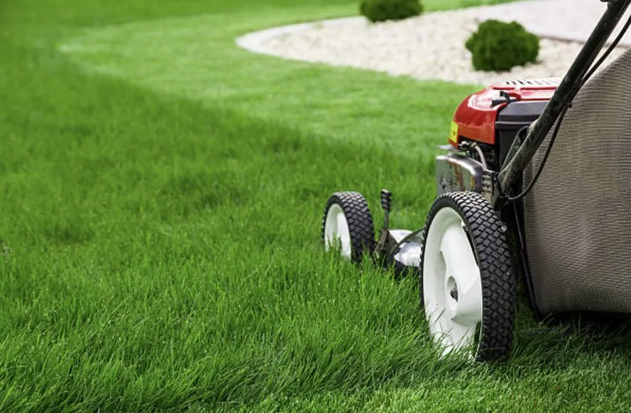 Expert landscaping services for year-round maintenance across Roanoke, VA - SN Rising