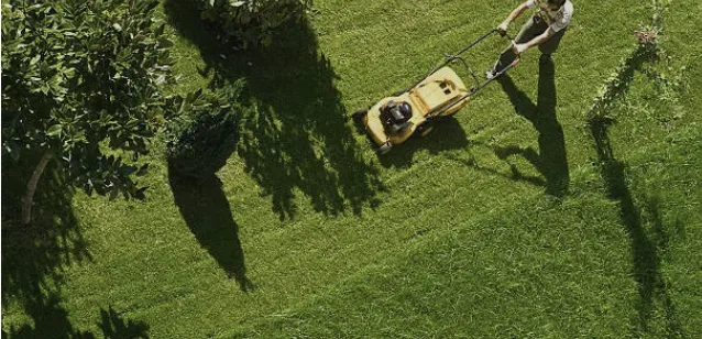 Reliable landscape installation for year-round maintenance across Roanoke, VA - SN Rising