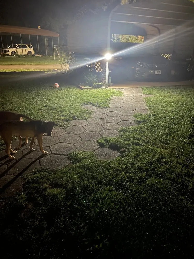 Expert lawn mowing service for year-round maintenance in Candler, NC by Snack Pack Landscaping & Carpentry