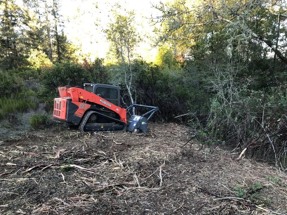 Professional landscaping services experts serving Bodega, CA - SnaggleTooth Mulching