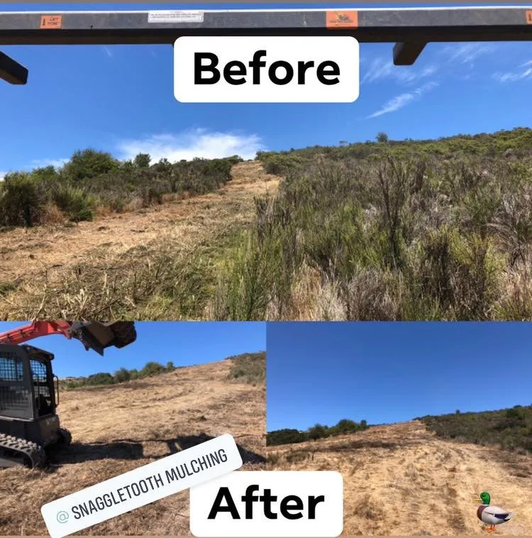 Expert yard maintenance experts serving Bodega, CA - SnaggleTooth Mulching