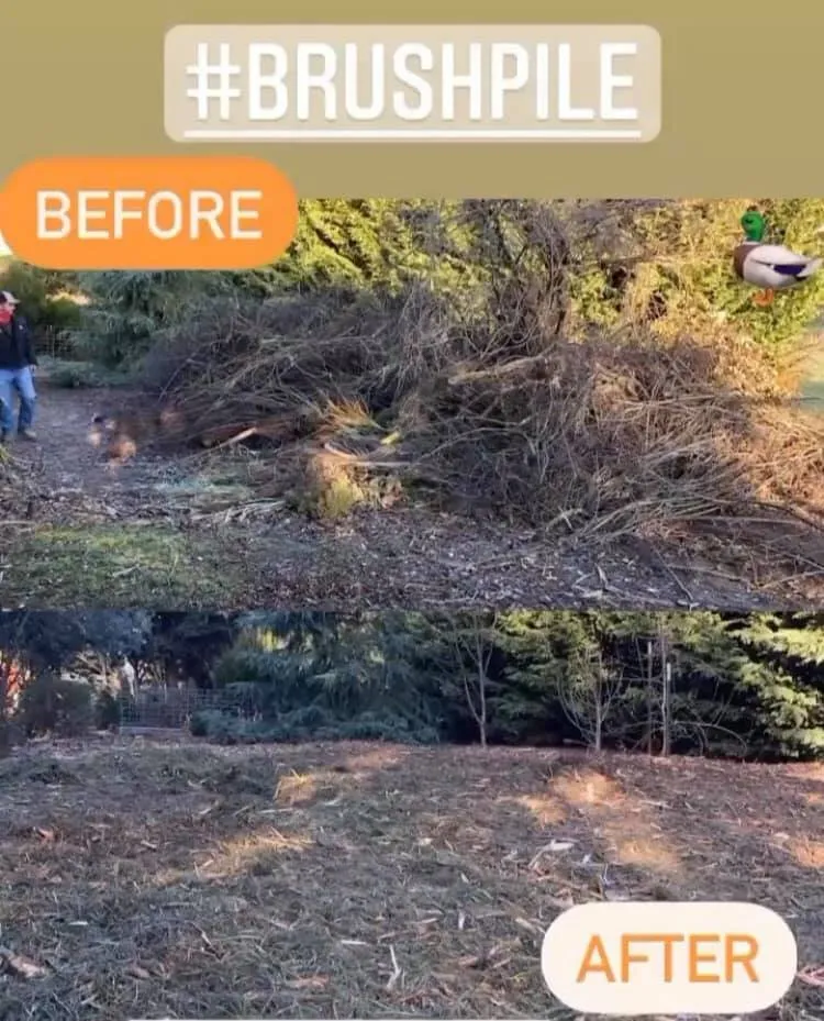 Top-rated outdoor landscaping in Bodega, CA by SnaggleTooth Mulching