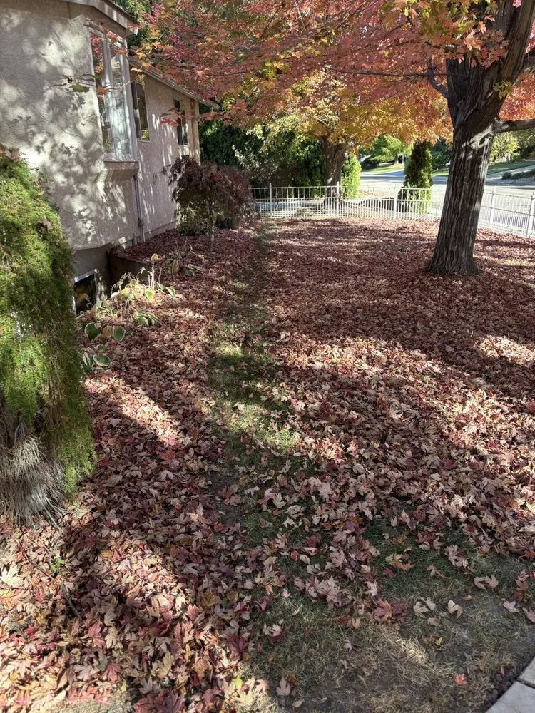 Reliable landscape design for year-round maintenance in Kuna, ID by Snake River Hardscapes