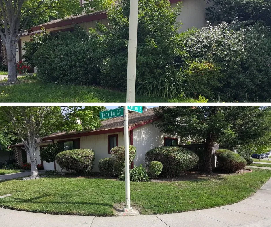 Local yard cleanup service experts serving Mountville, PA - Snappy Landscaping