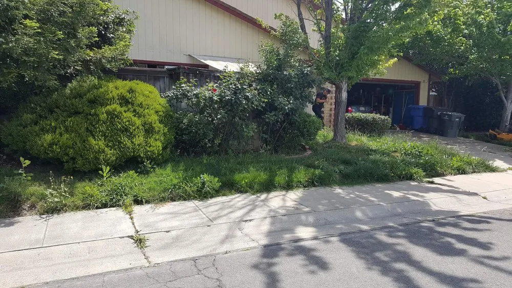 Top-rated residential landscaping in Mountville, PA by Snappy Landscaping