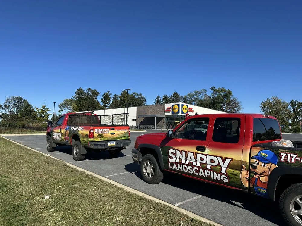 Top-rated landscape design experts serving Mountville, PA - Snappy Landscaping