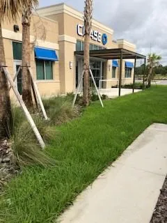 Top-rated landscaping services for residential properties across Orlando, FL - SNB Landscape & Services