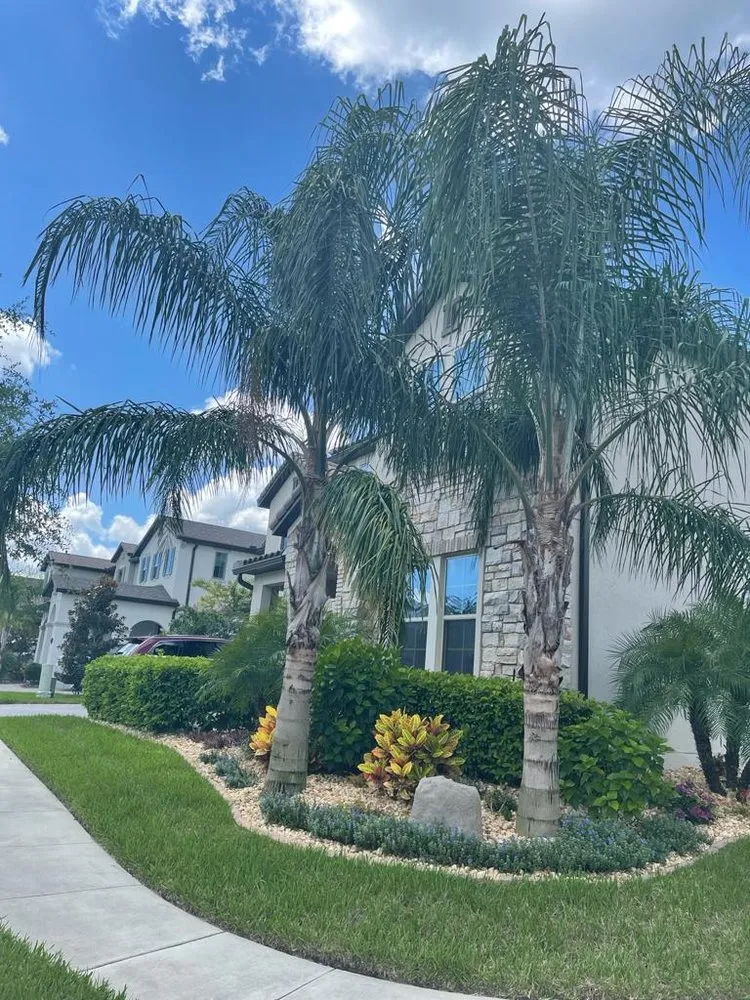 Top-rated yard maintenance in Orlando, FL - SNB Landscape & Services