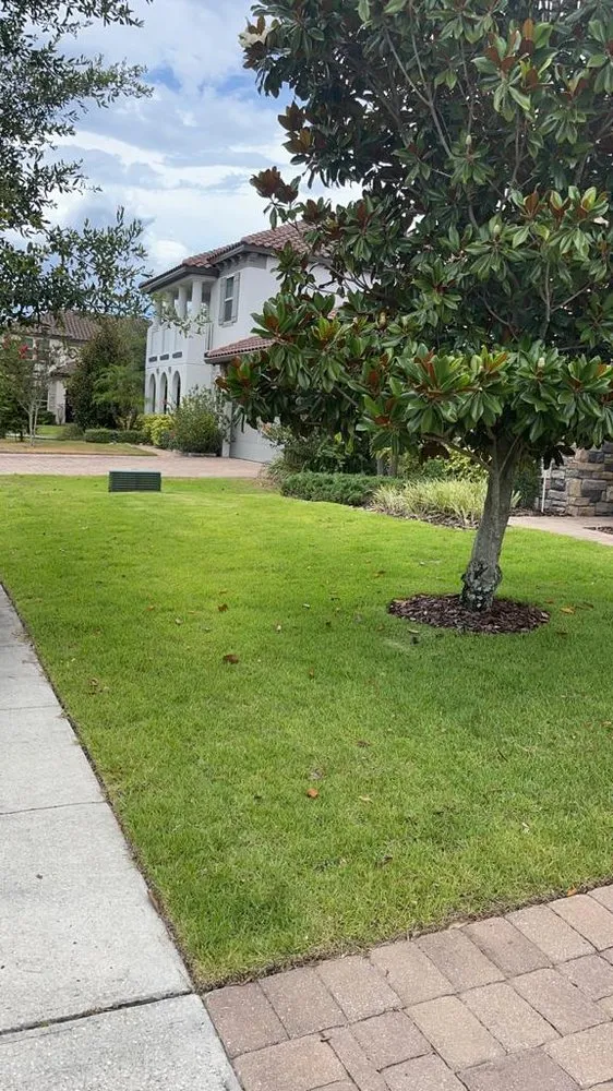 Custom residential landscaping with custom design in Orlando, FL by SNB Landscape & Services