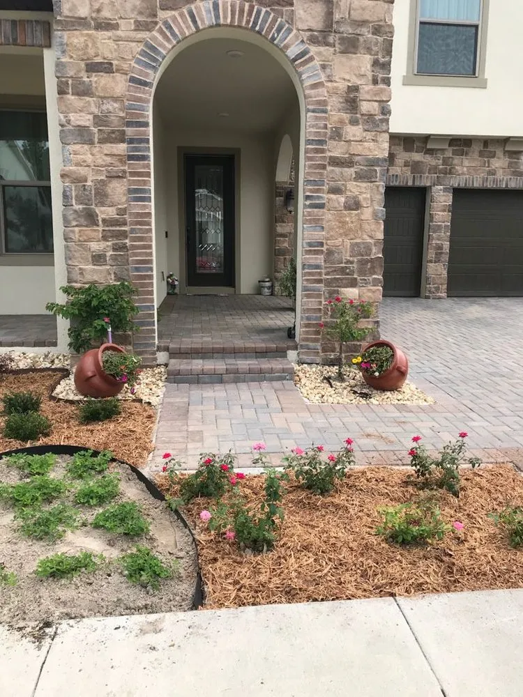 Affordable yard cleanup service in Orlando, FL - SNB Landscape & Services