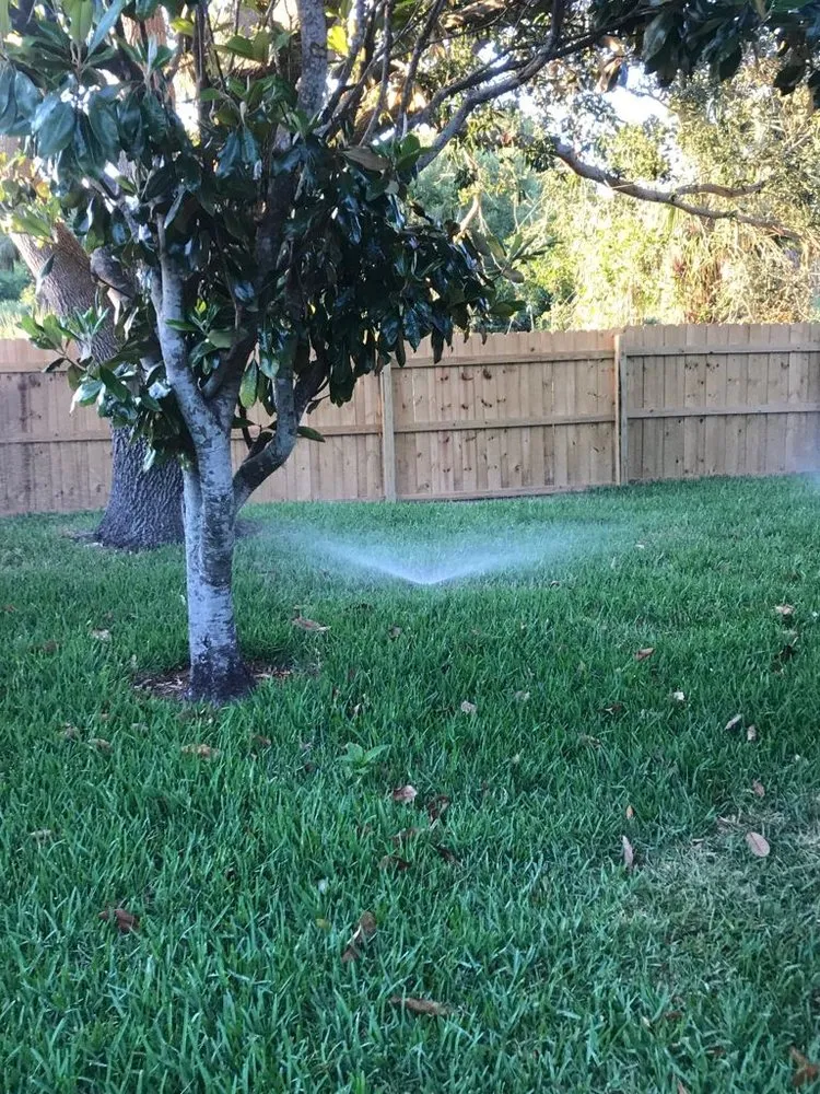 Expert landscape design for homes across Orlando, FL - SNB Landscape & Services