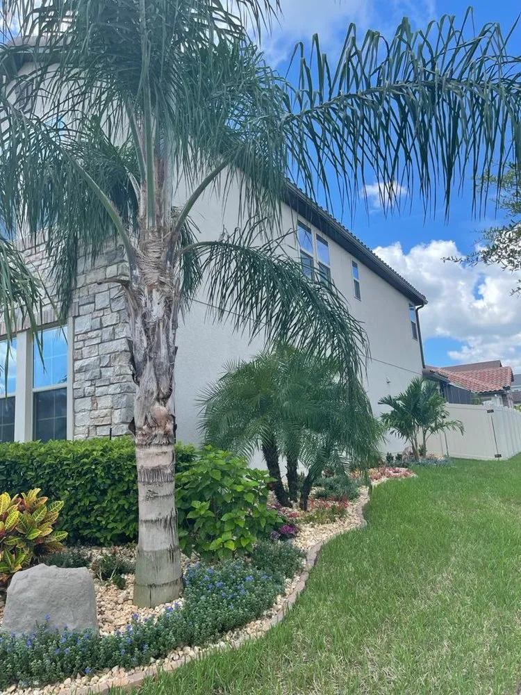 Local yard cleanup service for year-round maintenance across Orlando, FL - SNB Landscape & Services