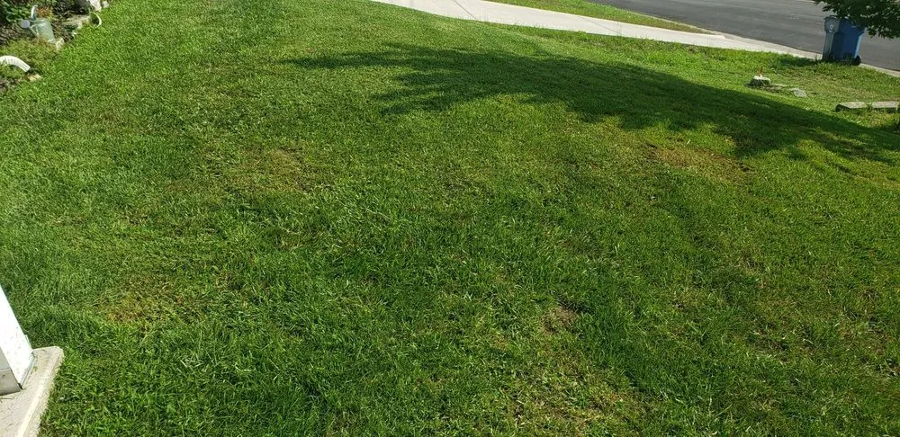 Top-rated yard cleanup service with custom design across Branson, MO - SNB Lawncare