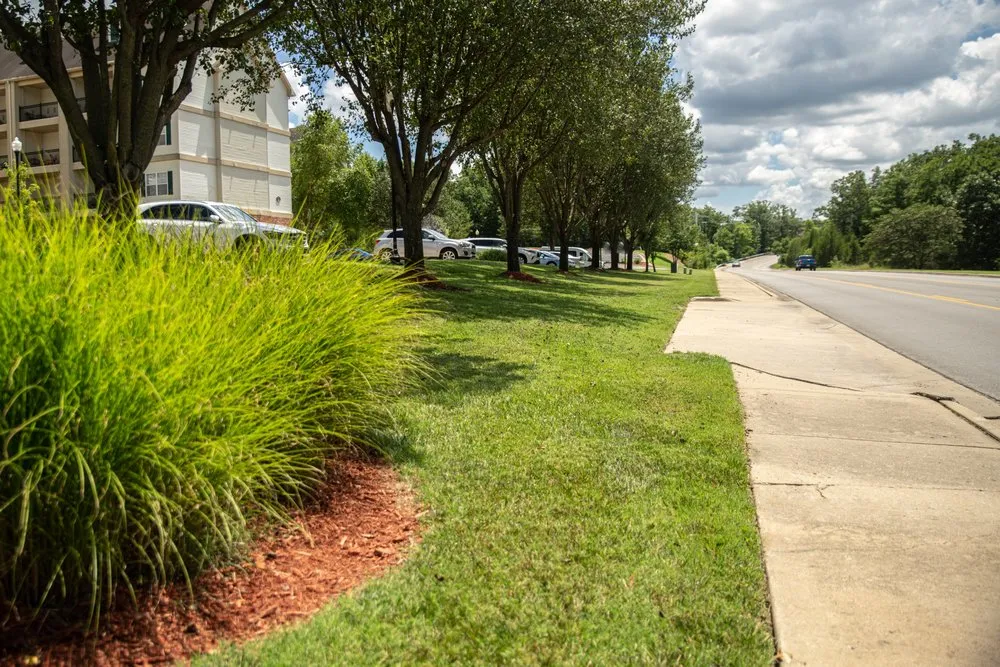 Local lawn care service for outdoor upgrades across Branson, MO - SNB Lawncare