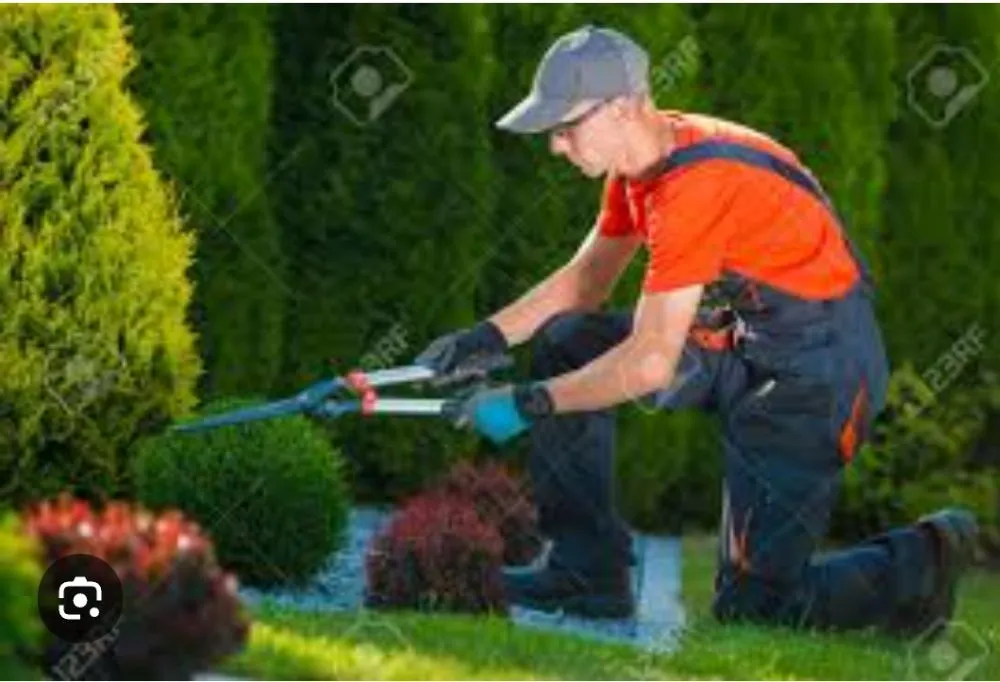Top-rated lawn mowing service experts serving Louisville, KY - Sánchez Cleaning and Landscaping