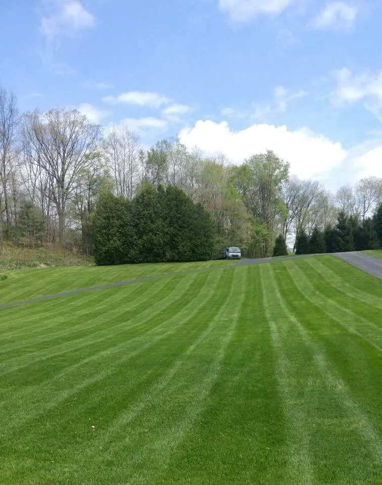 Custom yard cleanup service in Warren, PA by Snell Landscape Services