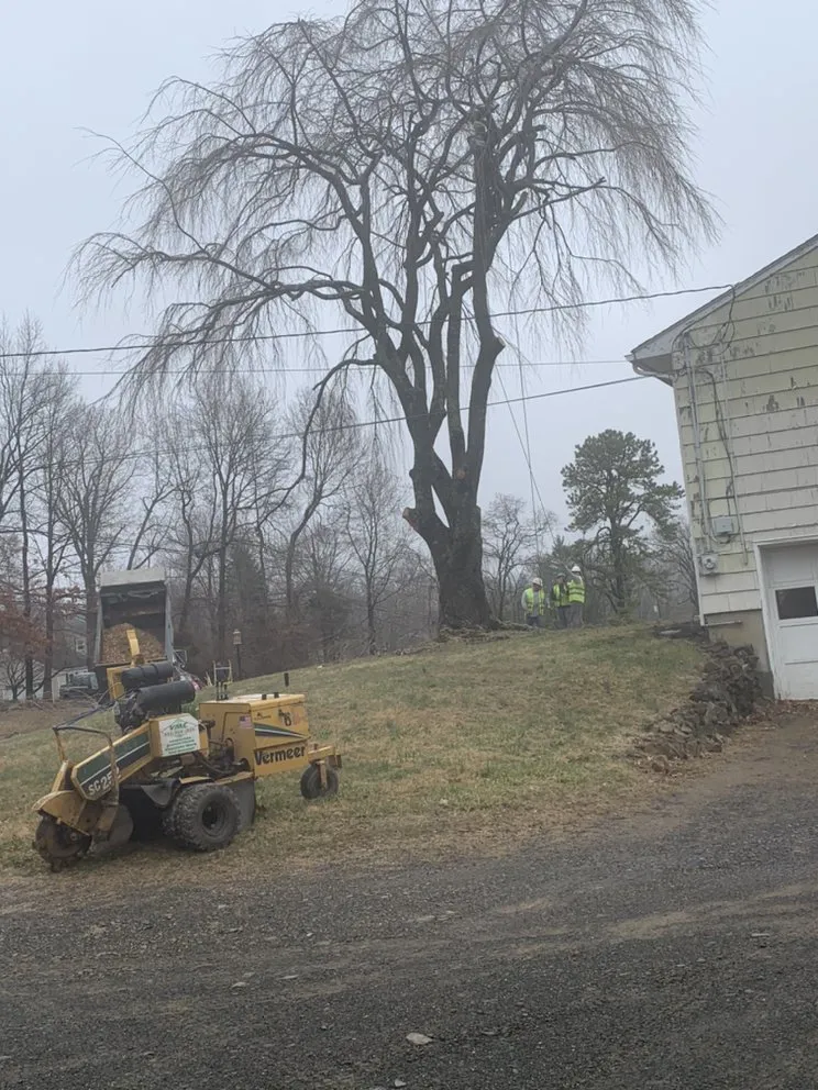 Top-rated lawn care service experts serving Plainfield, NJ - SNG Tree Service