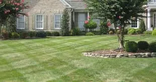 Custom landscaping services in Longview, TX - Sniders lawn care