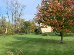 Custom yard cleanup service for residential properties in Longview, TX by Sniders lawn care