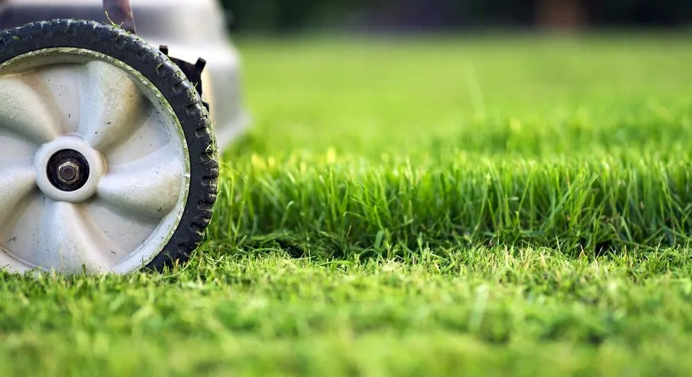 Affordable yard maintenance for year-round maintenance in Jarrell, TX by Sniggs Landscaping