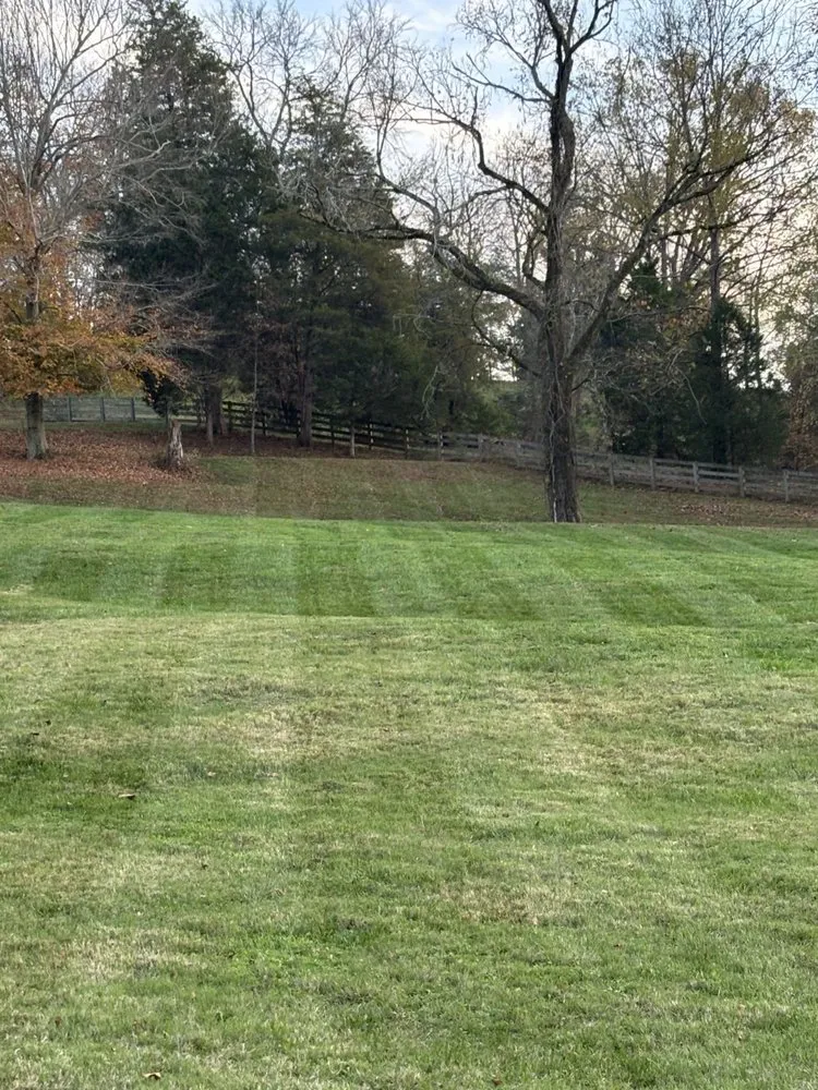 Top-rated lawn mowing service experts serving Columbia, TN - Snip Snip Lawncare