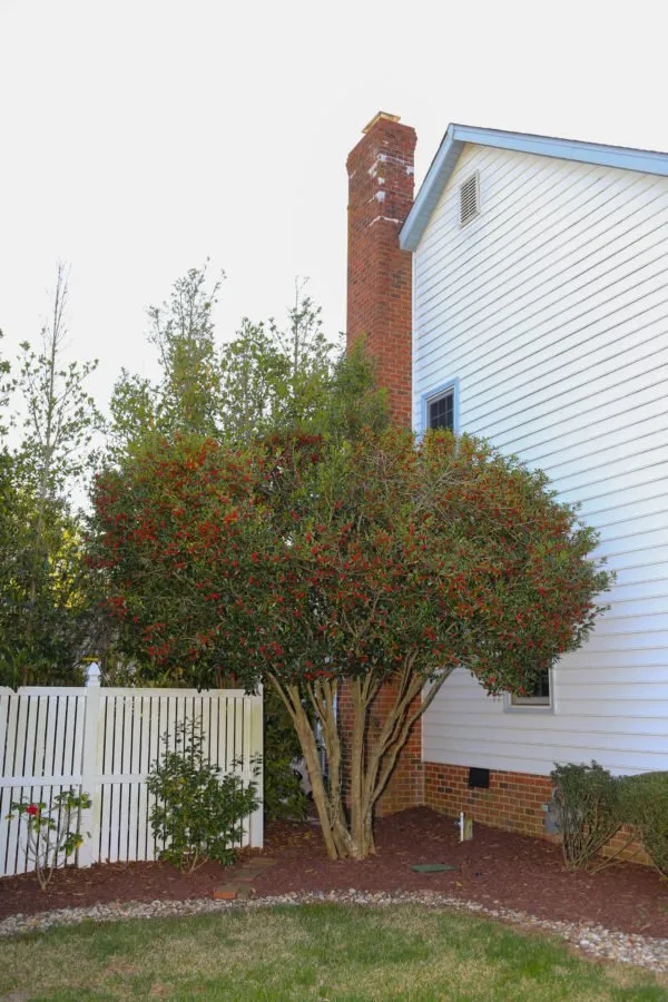 Expert lawn care service for outdoor upgrades across Chesapeake, VA - Snipes Lawn & Landscaping