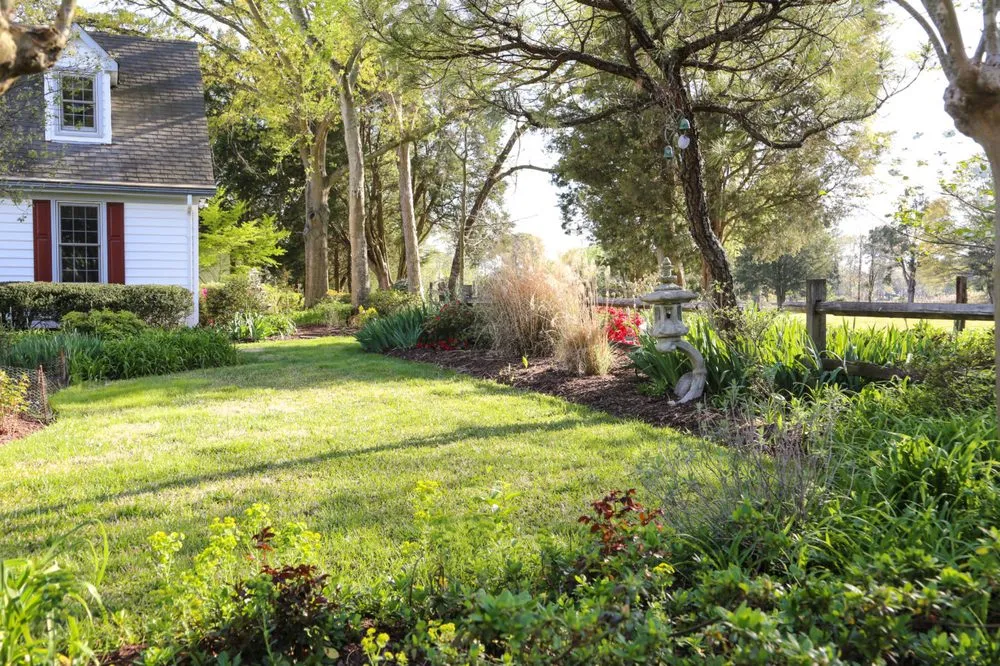 Expert yard cleanup service for residential properties in Chesapeake, VA by Snipes Lawn & Landscaping