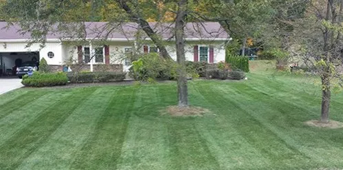 Trusted lawn mowing service experts serving Wichita, KS - Snipes Lawn Care