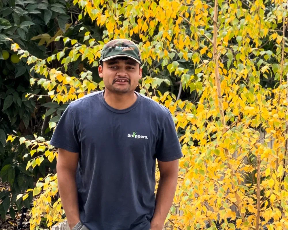 Trusted residential landscaping in Princeton, CA by Snippers Lawn & Yard