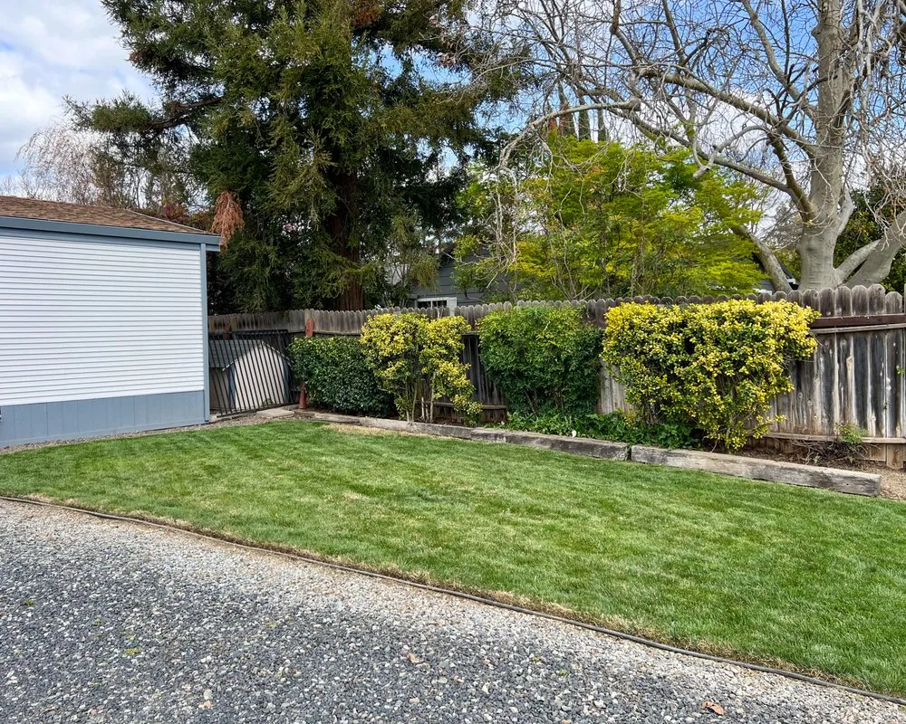 Professional garden landscaping in Princeton, CA - Snippers Lawn & Yard