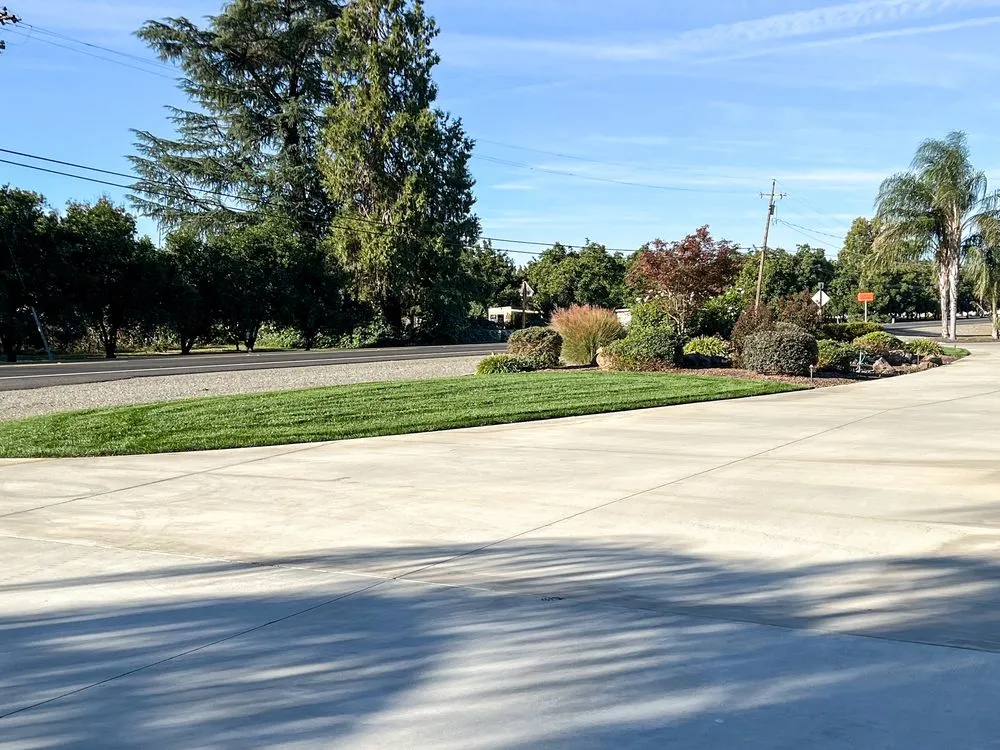 Custom yard maintenance experts serving Princeton, CA - Snippers Lawn & Yard